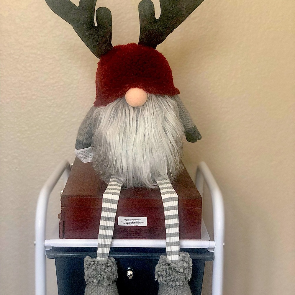 Christmas 🎄 gnome